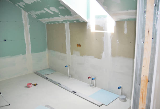 Best Basement Mold Removal  in Captain Cook, HI
