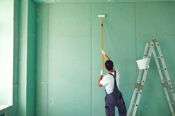 Best Basement Mold Removal  in Captain Cook, HI