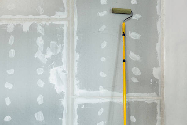 Best Forensic Mold Investigation  in Captain Cook, HI