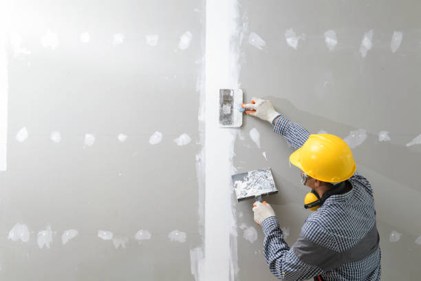 Reliable Captain Cook, HI Mold Removal Solutions
