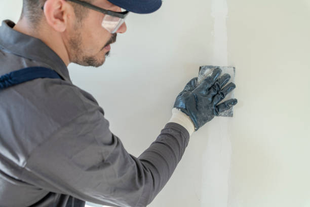 Best Attic Mold Removal  in Captain Cook, HI