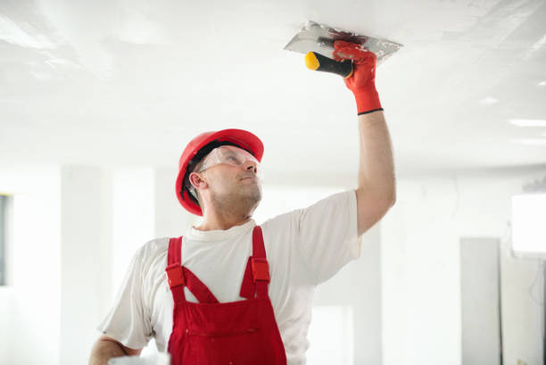 Best Comprehensive Air Testing for Mold Contaminants  in Captain Cook, HI