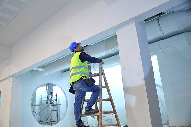 Best Mold Removal for HVAC Installations  in Captain Cook, HI