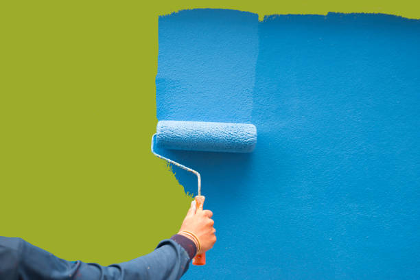Best Post-Construction Mold Inspection  in Captain Cook, HI