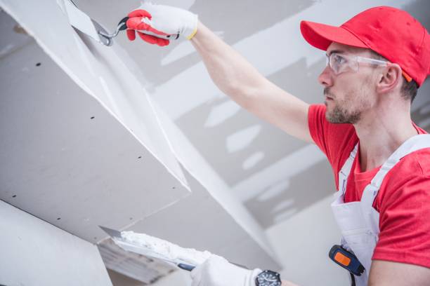 Best Water Damage & Mold Remediation  in Captain Cook, HI